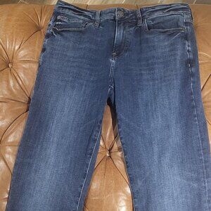Express Men's Navy Jeans